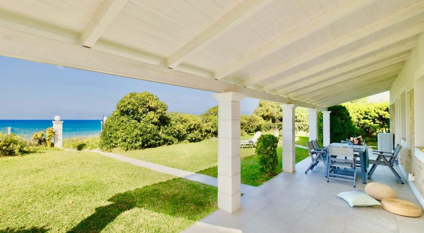 Photo of Starlit Nights