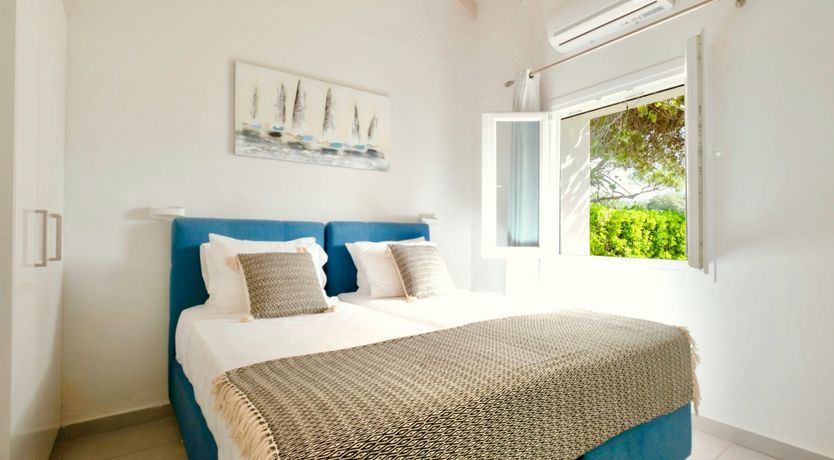 Photo of Starlit Nights