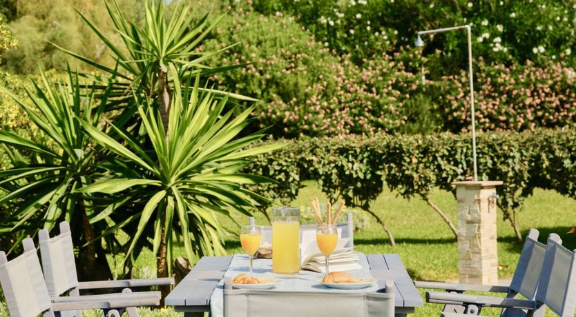 Photo of Starlit Nights