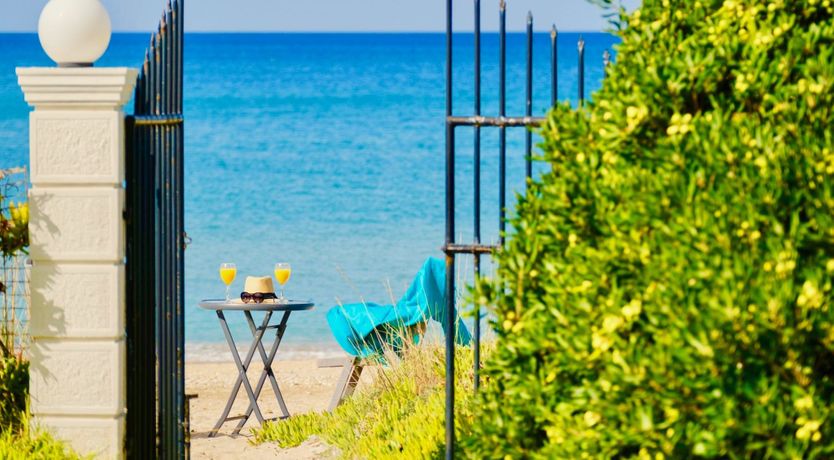 Photo of Starlit Nights