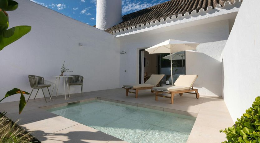 Photo of A Palm Dream