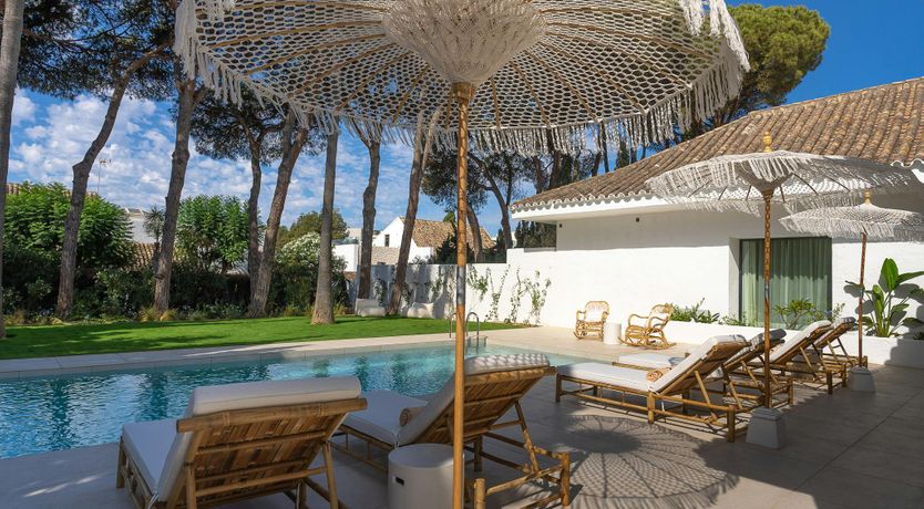 Photo of A Palm Dream