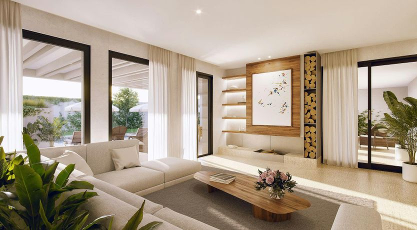 Photo of A Palm Dream