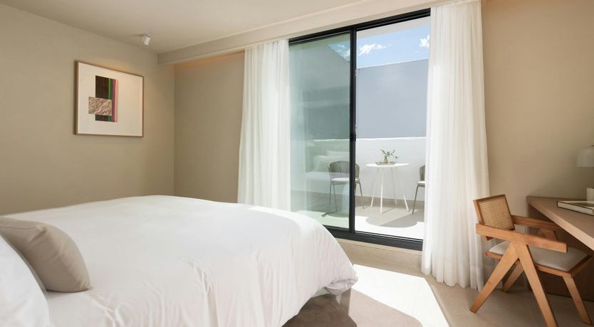 Photo of A Palm Dream