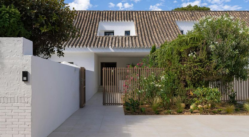 Photo of A Palm Dream