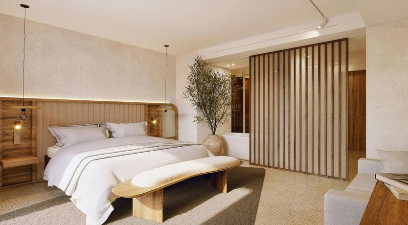 Photo of A Palm Dream