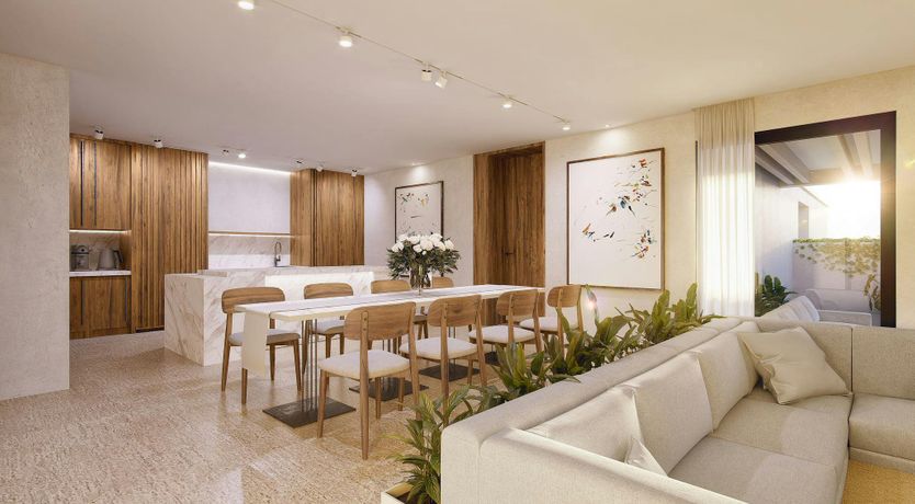 Photo of A Palm Dream