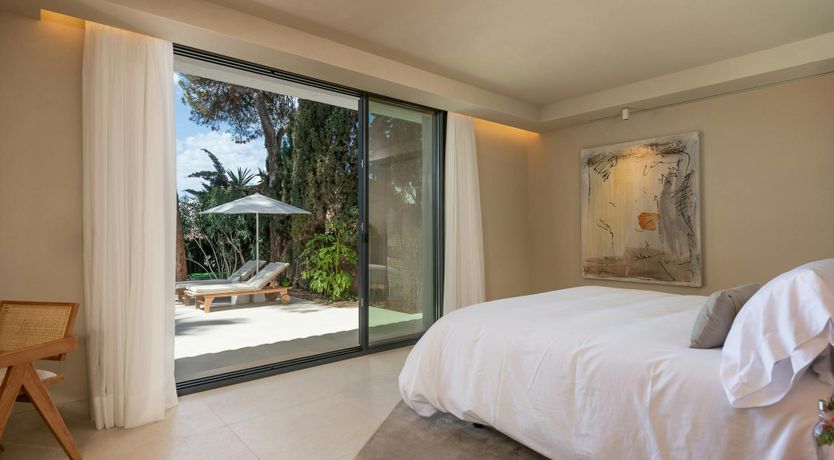 Photo of A Palm Dream