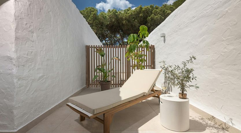 Photo of A Palm Dream