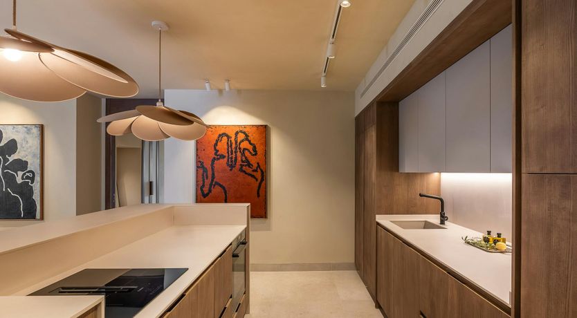 Photo of A Palm Dream