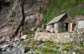 Photo of guillemots-perch