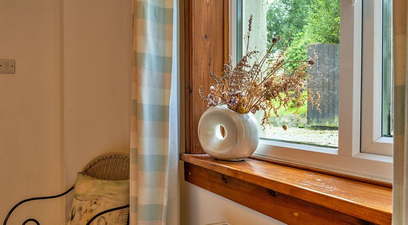 Photo of Back to the Countryside