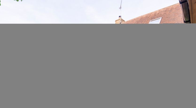 Photo of The Sustainable House