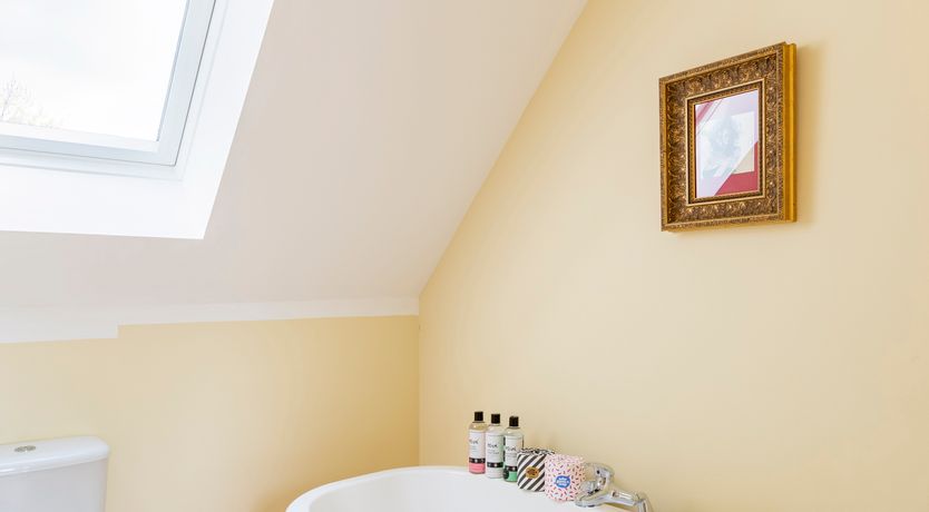 Photo of The Sustainable House