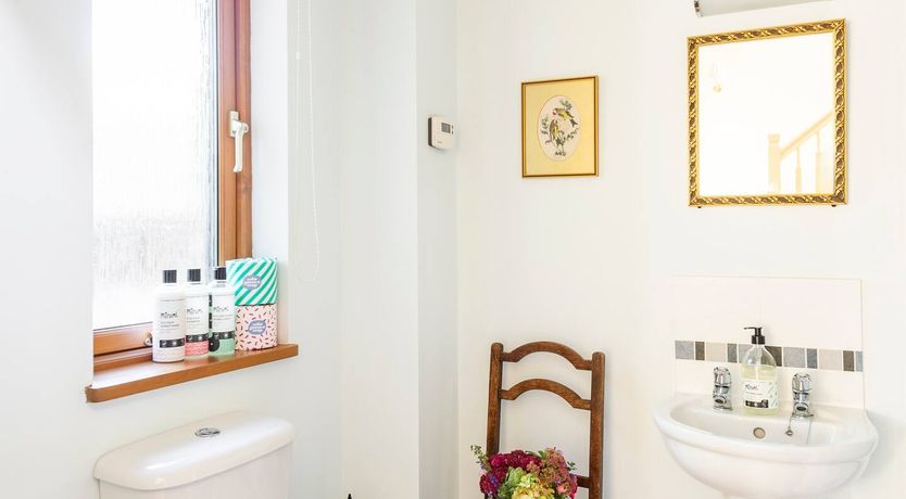 Photo of The Sustainable House