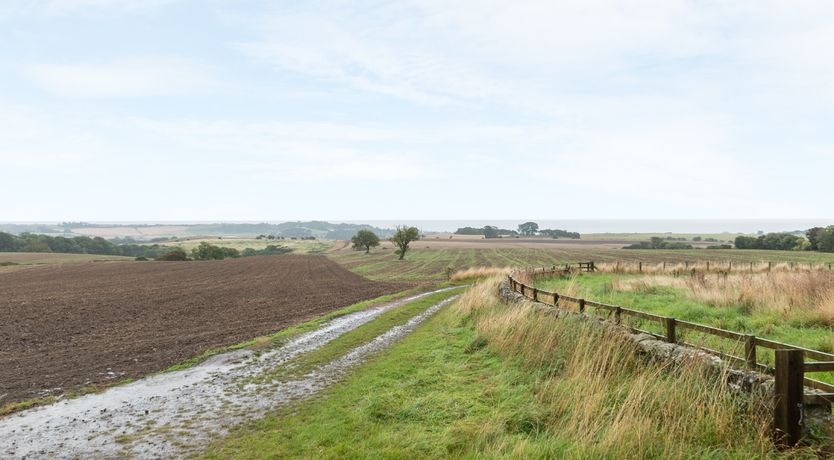 Photo of Jenny's Cottage