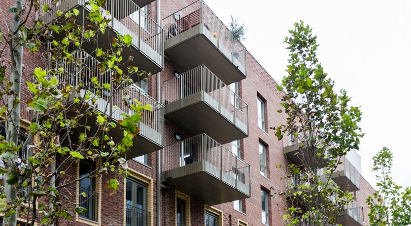 Photo of The Phoenix X