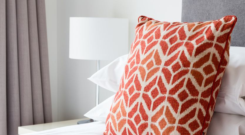 Photo of The Phoenix X