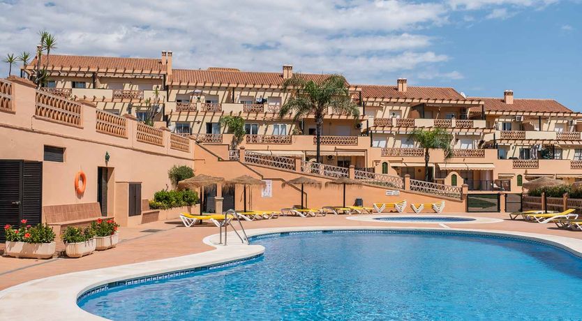 Photo of Under the Palm Trees