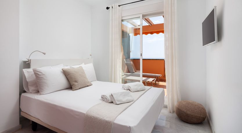 Photo of Under the Palm Trees