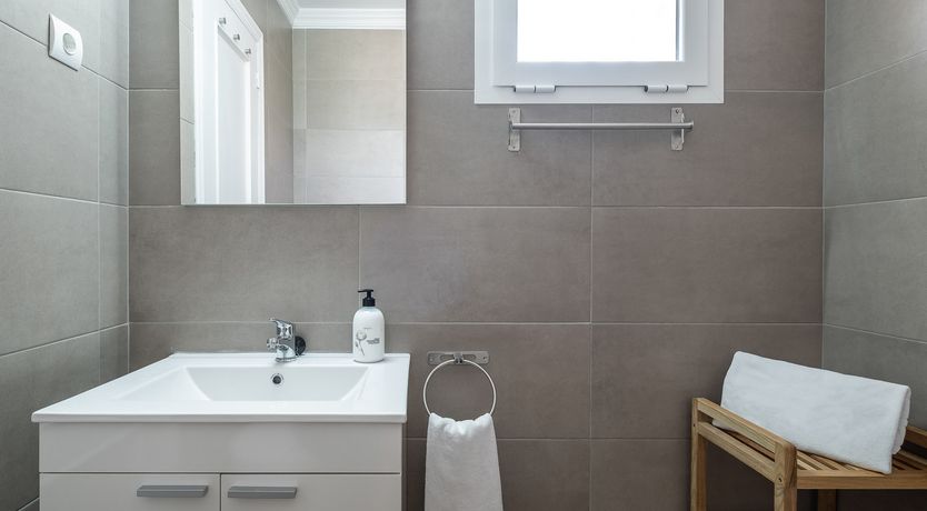 Photo of Under the Palm Trees