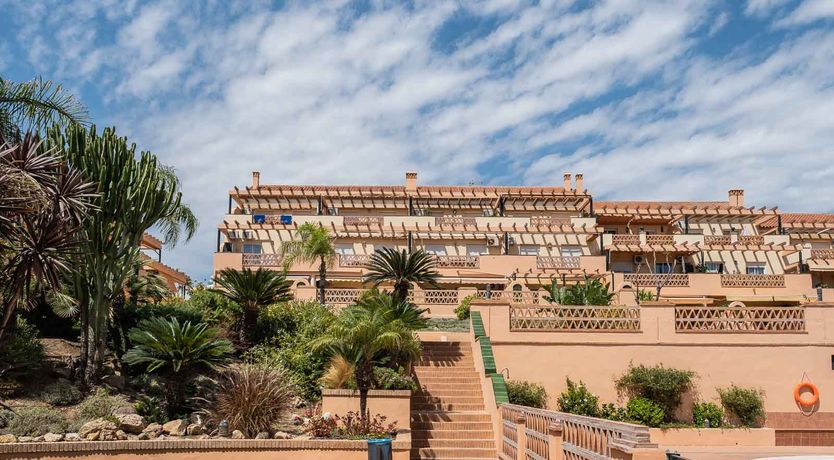 Photo of Under the Palm Trees