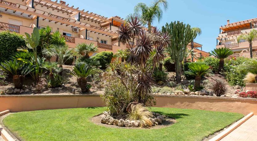 Photo of Under the Palm Trees