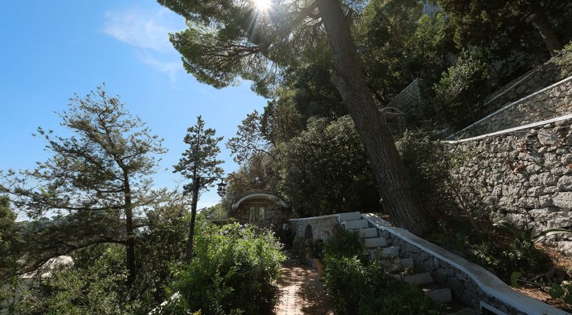 Photo of White Lotus House