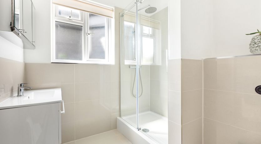 Photo of Paper White