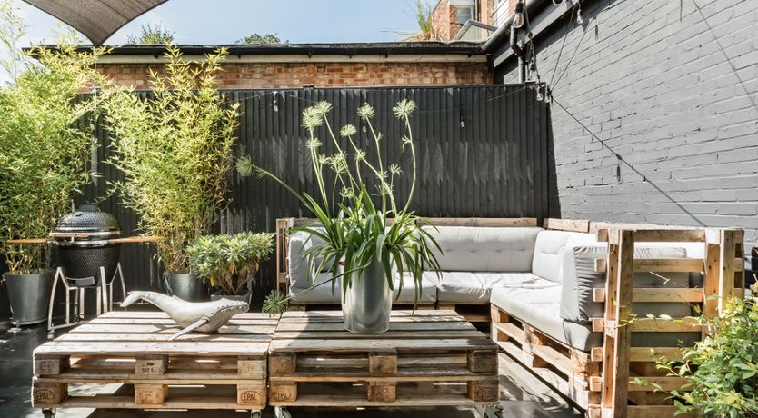 Photo of Paper White