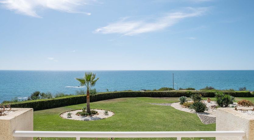 Photo of Sunny Dreams