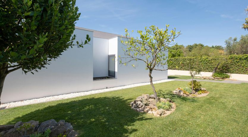 Photo of A Little Sunshine