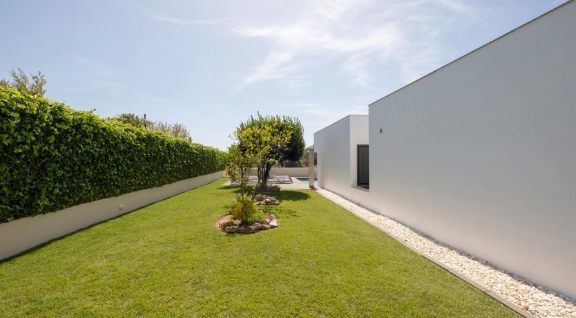 Photo of A Little Sunshine