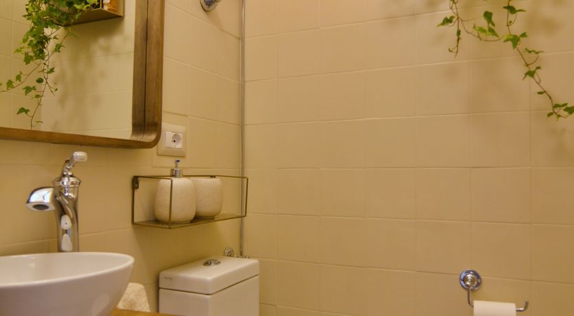 Photo of Spinning Around the Sun