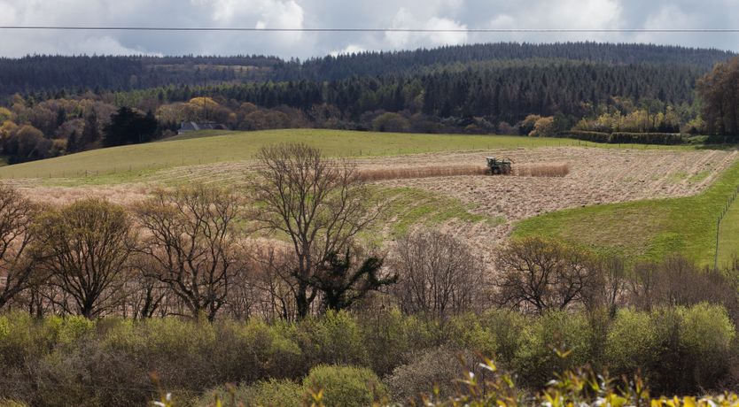 Photo of Pine Tree Lodge, Woodcombe