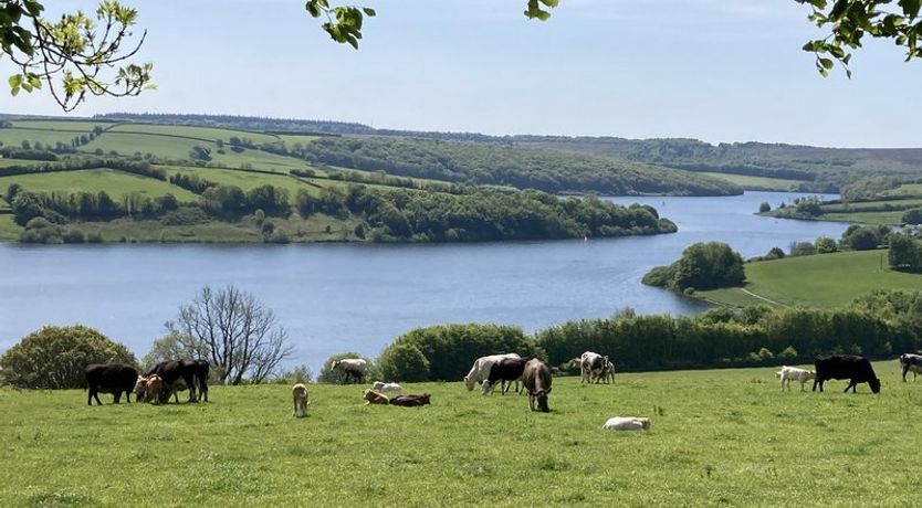 Photo of The Pony Stalls, Brompton Regis