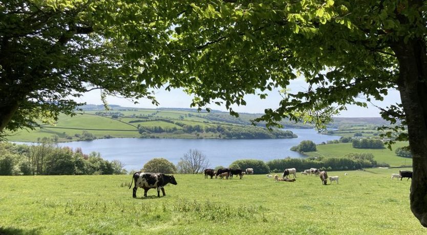 Photo of The Pony Stalls, Brompton Regis