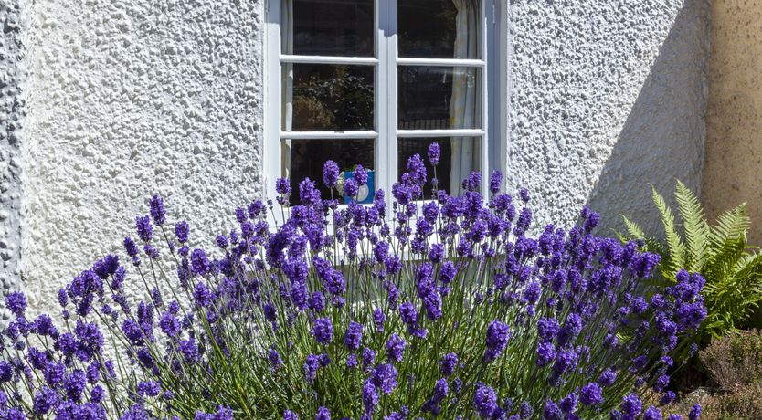 Photo of Syms Cottage, Cutcombe