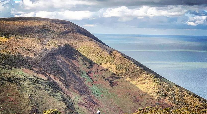 Photo of Peacock Cottage