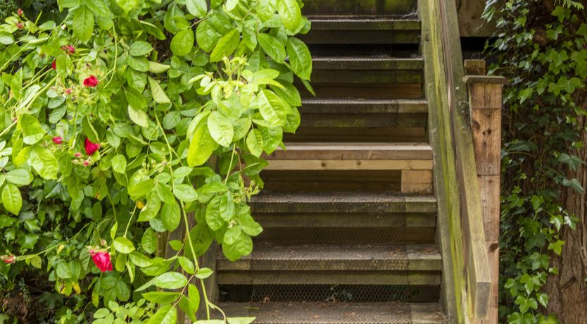 Photo of Horner Apartment, Near Dunster