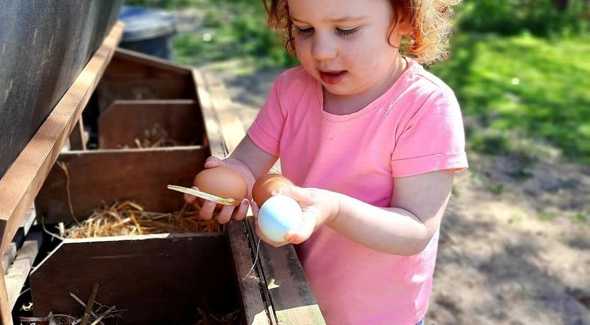 Photo of The Georgian House