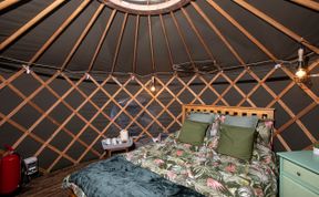 Photo of Treehouse Yurt