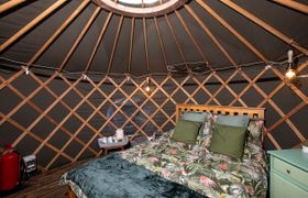 Photo of treehouse-yurt