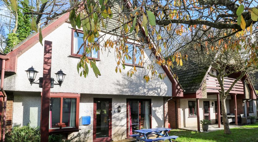 Photo of Merlins  Flight