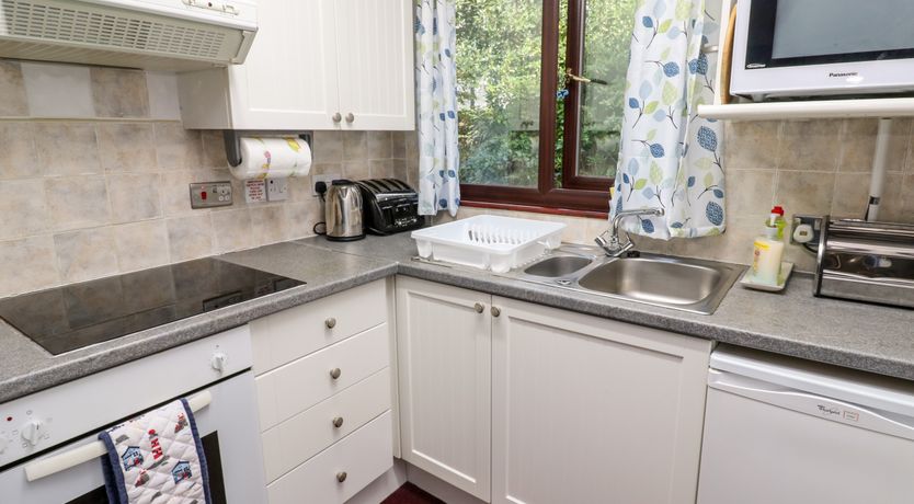 Photo of Merlins  Flight