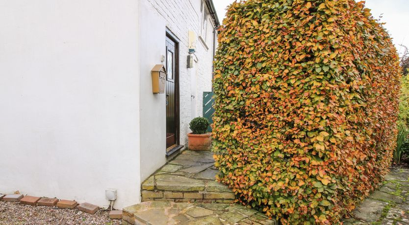 Photo of The Beehive