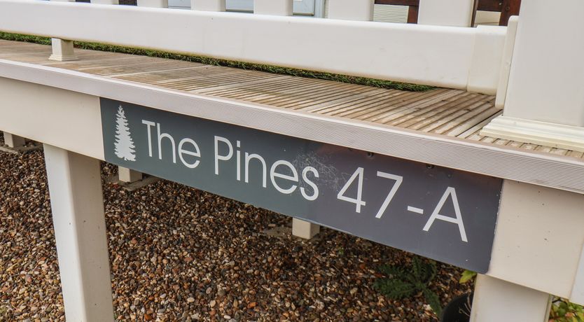 Photo of Evergreen Pines