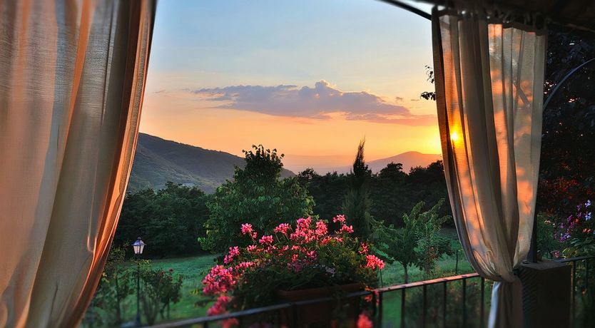 Photo of Rosemary Breeze