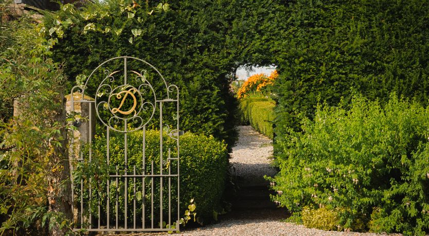 Photo of Sweet Green Grass