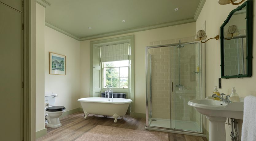 Photo of Sweet Green Grass